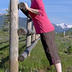 Strength Exercises Outdoors